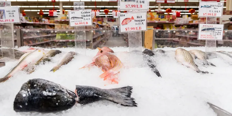 Fresh Seafood